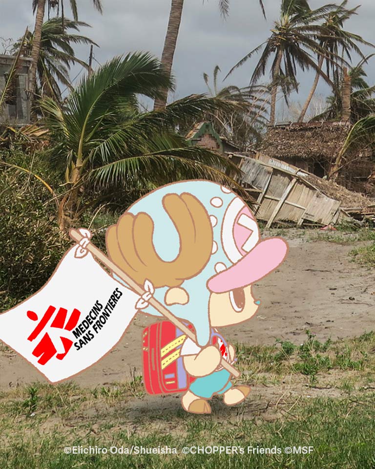 Chopper walking on the beach