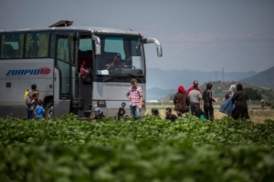 Refugiados são retirados de Idomeni sem saber para onde vão