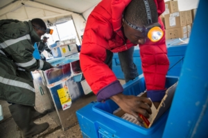 MSF mobiliza centenas de profissionais para campanha de vacinação massiva contra febre amarela em Kinshasa, RDC