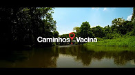 Caminhos da Vacina | Documentário