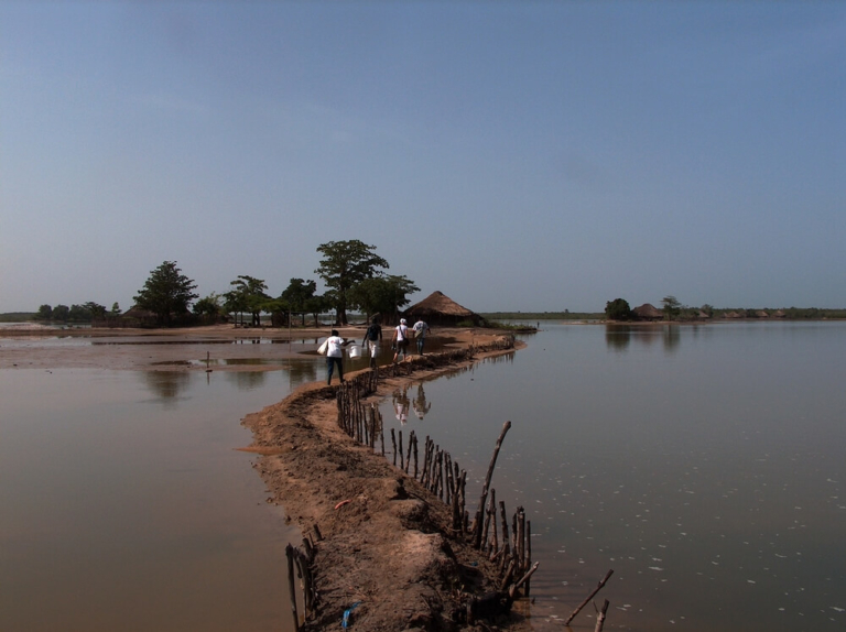 Minha experiência em Serra Leoa e Guiné-Bissau