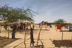 Refugiados que escaparam da violência no Níger permanecem vulneráveis no Mali