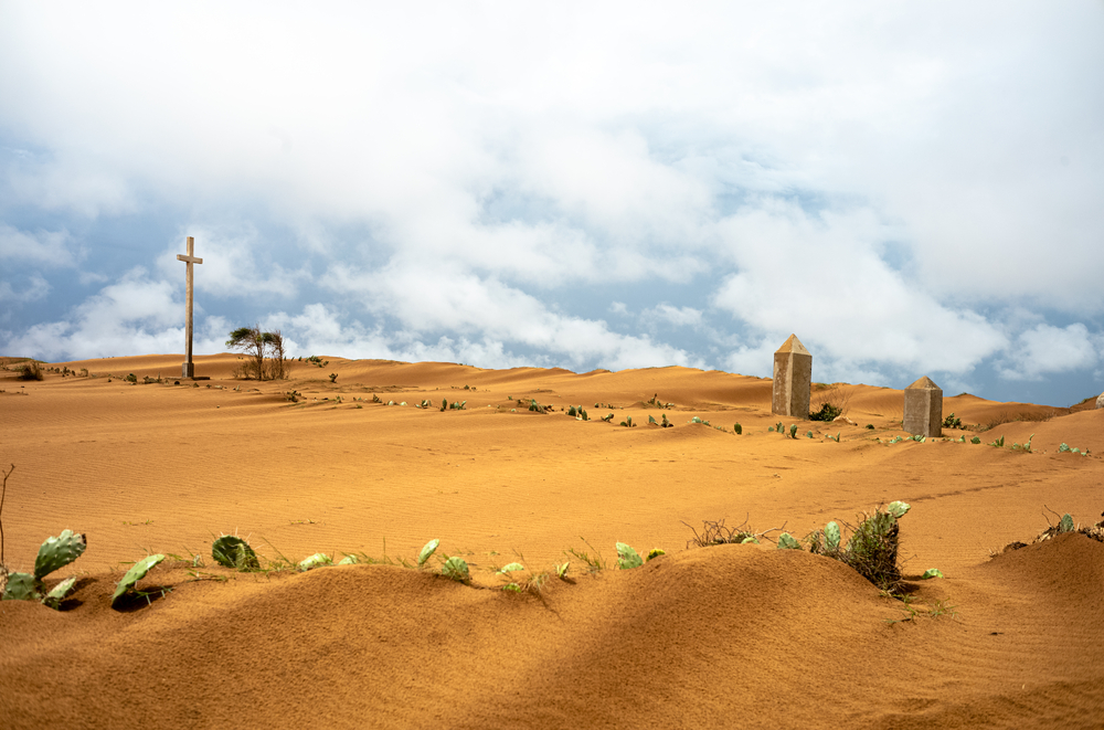 Em Madagáscar, as estradas, anteriormente cobertas por cactos, estão agora enterradas na areia em consequência dos três anos consecutivos de seca. O período de grande escassez de alimentos – que ocorre entre as colheitas – está a tornar-se mais crítico nas regiões desérticas.
Região de Anosy, Madagáscar. Março de 2021
© Ainga Razafy/MSF