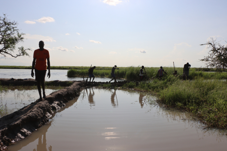 Emergência Climática