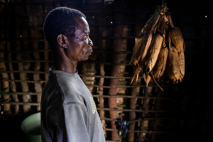 Muemedi Momade no campo de deslocados de Nandimba, em Mueda. O diretor do campo estima que há cerca de 7.000 pessoas no campo que fugiram da guerra e se refugiaram aqui.