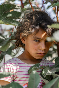 Líbano - refugiados sírios