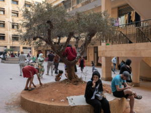 Abrigo de guerra no Líbano