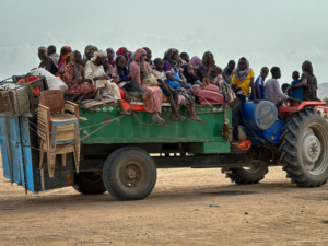 Pessoas deslocadas que chegam à localidade de Tawila. Vêm principalmente de El Fasher e dos campos circundantes, como Zamzam e Abu Shok, e relatam actos de violência extrema no Sudão.