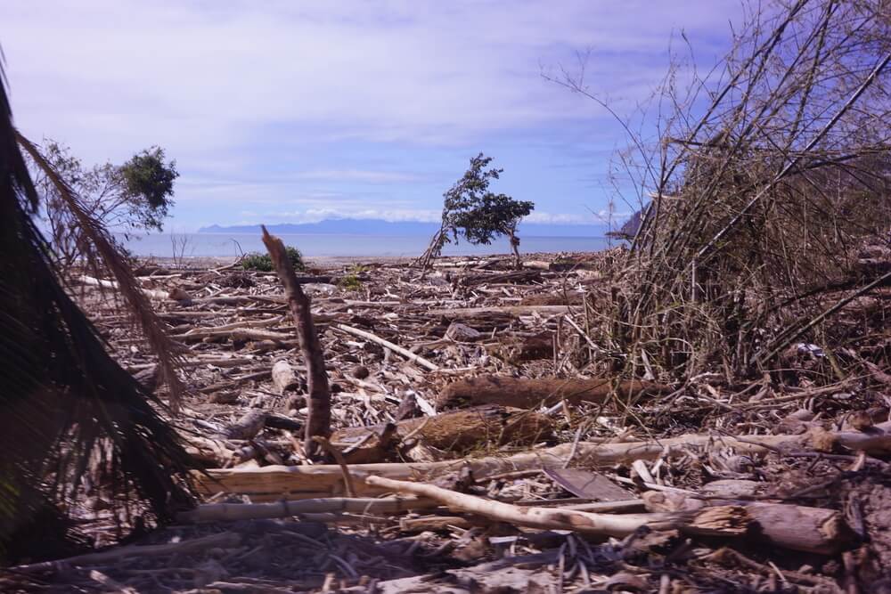 A MSF prestou uma resposta de emergência depois que o supertufão Man-yi atingiu as Filipinas. Na comunidade vizinha de Ditawini, as árvores mais próximas da costa foram reduzidas a galhos e troncos espalhados pela areia. 
