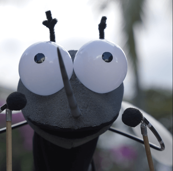 Honduras mosquitos Wolbachia