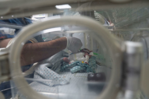 Um membro da equipa do Hospital Al-Helou, na cidade de Gaza, examina um recém-nascido com baixo peso que está internado numa incubadora.
