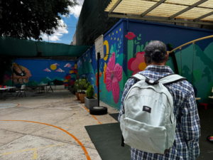 México - cuidados para tortura