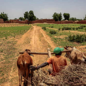 Um agricultor nas proximidades da aldeia de Riko, Estado de Katsina, na Nigéria. Junho de 2022.