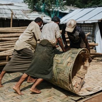 Bangladesh - folha de taro símbolo rohingya