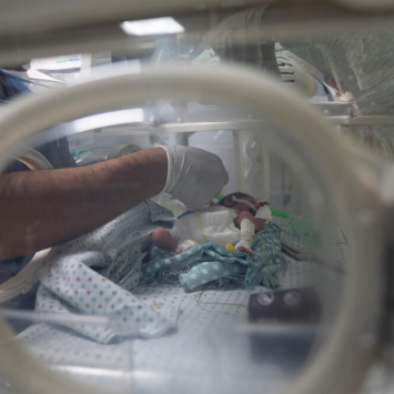 Um membro da equipa do Hospital Al-Helou, na cidade de Gaza, examina um recém-nascido com baixo peso que está internado numa incubadora.