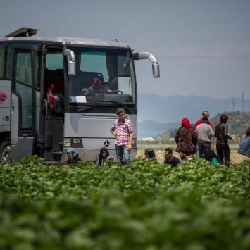 Refugiados são retirados de Idomeni sem saber para onde vão