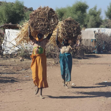 Darfur: o sonho de voltar para casa continua distante no acampamento de Sortoni