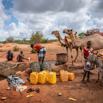 Um ano em fotos #2019