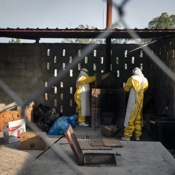 Nigéria declara fim da emergência com a febre de Lassa